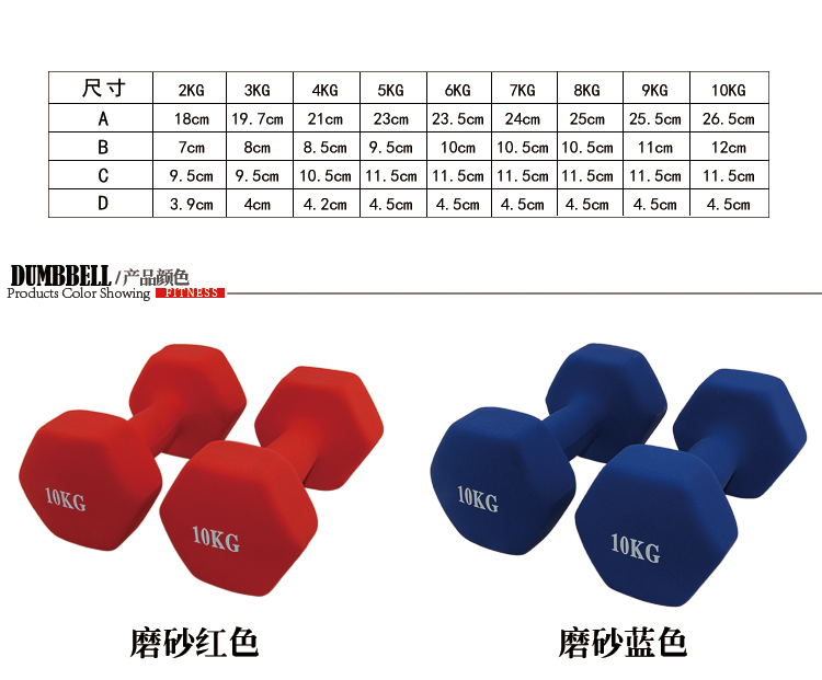 哑铃男士健身家用器材浸塑小哑铃女一对20公斤5/6/2kg练臂肌痩臂 蓝色