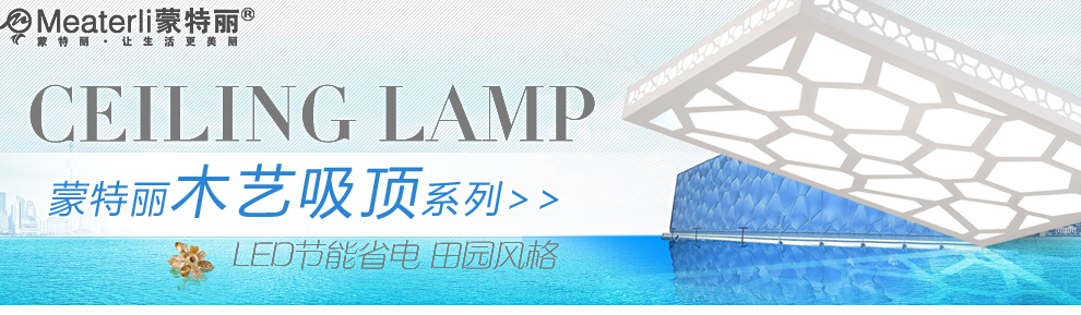 蒙特丽 客厅卧室灯书房餐厅过道省电王LED吸顶灯 MY-樱花(圆）简约田园木艺灯具(B) 30CM LED正白光12W