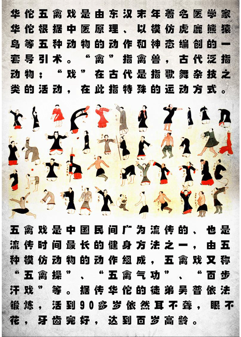 五禽戏健身气功养生功法八段锦2dvd光盘高清教学碟片教程视频紫色