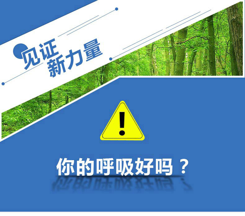 
                                        德宣纳味卡 汽车去味车用除甲醛车用活性炭 车内去甲醛车载竹炭除异味碳包活性炭汽车 两袋装                