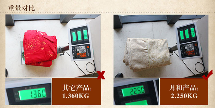 月和家思 欧式全盖沙发套防滑真皮沙发罩全包沙发巾加厚定做 情迷菊园 四人位180*360cm