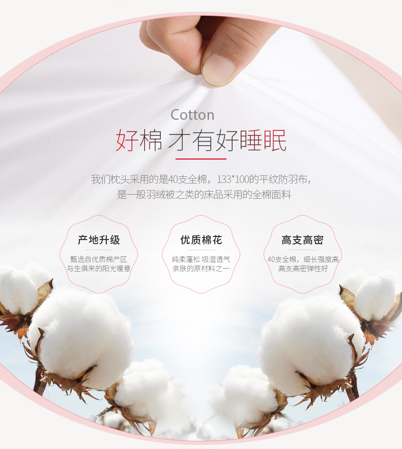 阳阁 双人枕头 长枕头双人枕1.2米1.5米枕芯双人护颈枕 荞麦枕头 决明子枕头 送 荞麦壳+荞麦壳 48*150cm 全棉品质
