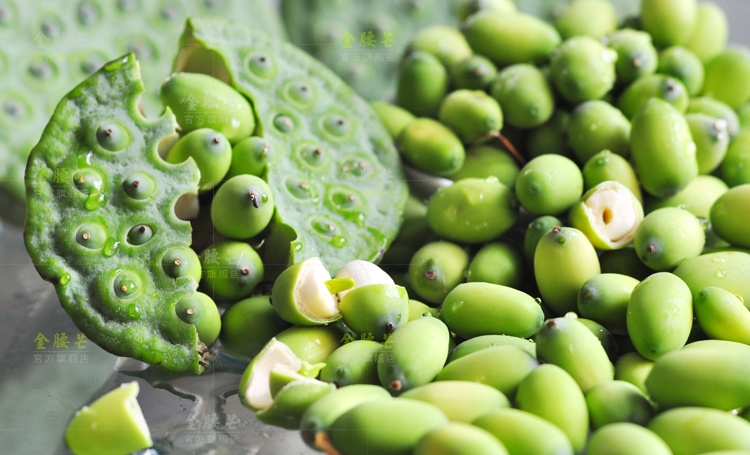 金腰芒 新鲜现剥嫩莲子 莲蓬农家手剥莲子米 带莲蓬1500g(顺丰)