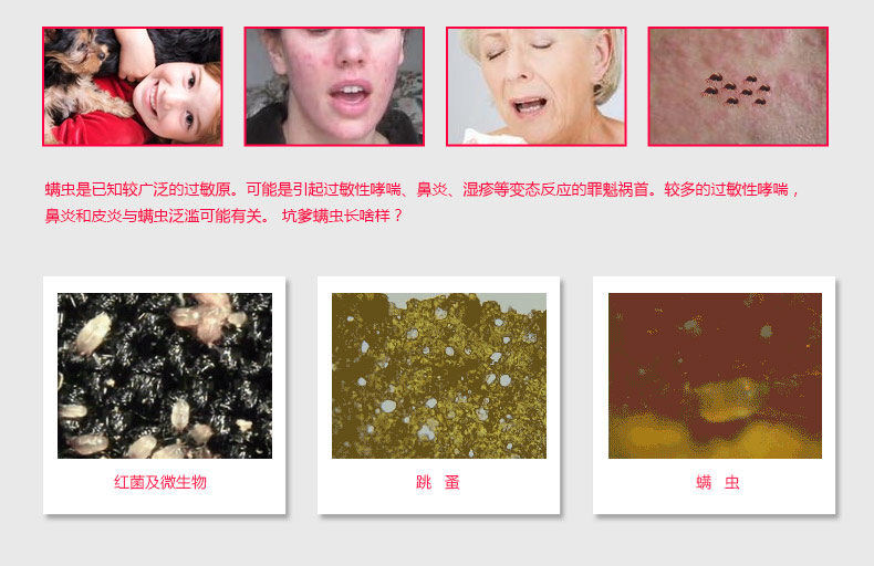 
                                        福玛特（fmart） 手持床铺杀菌除螨机除螨仪家用吸尘器 400UV-C                 