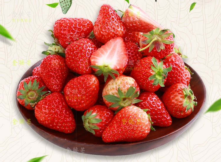 四季草莓新鲜奶油草莓红颜大草莓水果烘焙水果4盒24颗装1200g