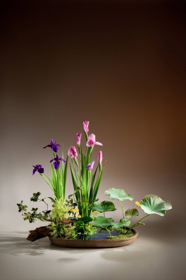 文静花坊剑山插花插花器剑山插花工具剑山花插剑山不锈钢针配橡胶圆34