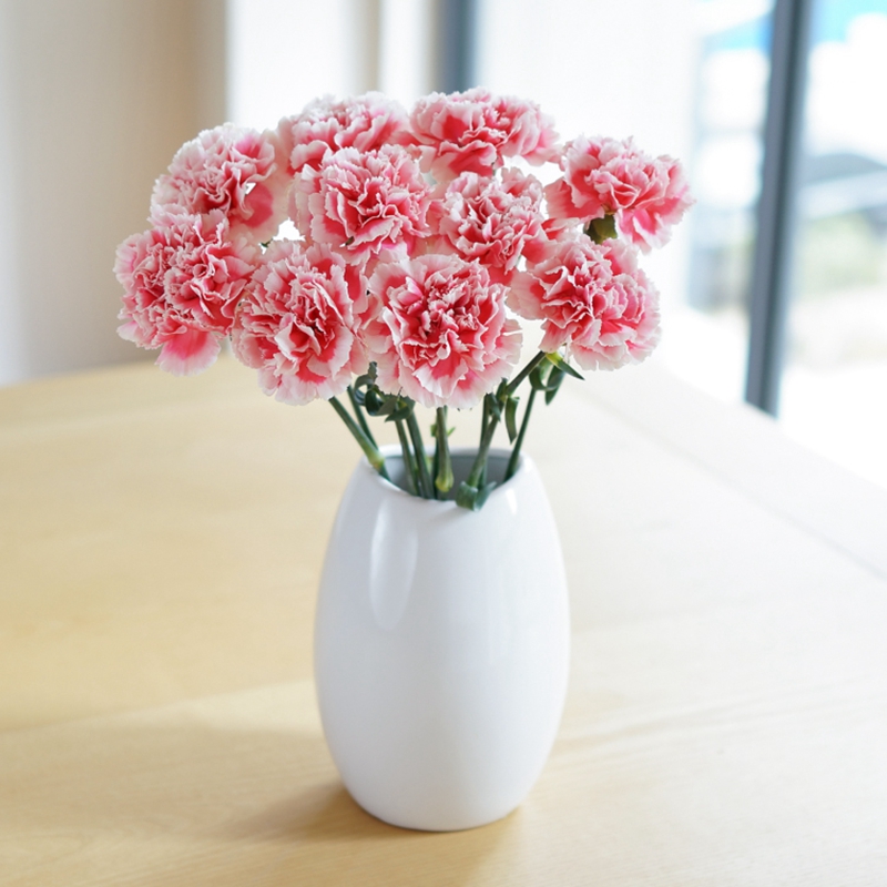 康乃馨多头鲜花家庭速递家用插花直发新鲜花朵多头太子粉康乃馨18朵