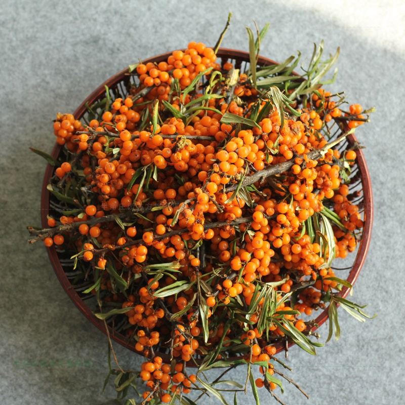 沙棘果新鲜 鲜果山西吕梁特产沙刺新疆鲜果干酵素榨汁