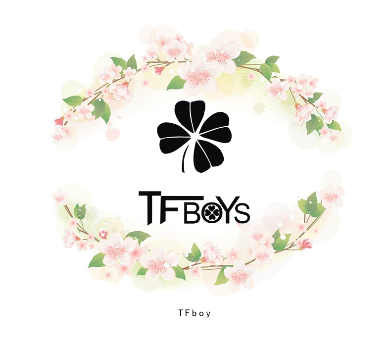 
                                        Asiagirl tfboys同款衣服卫衣女秋冬季新款圆领长袖上衣圆领大码加绒衫定制 灰色白王源 M                