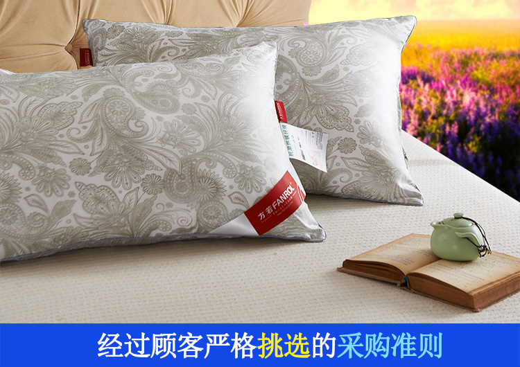 方若 卡尔系列高弹枕头压不塌护颈枕芯800g 卡尔-凤尾花 45*72cm 一对装