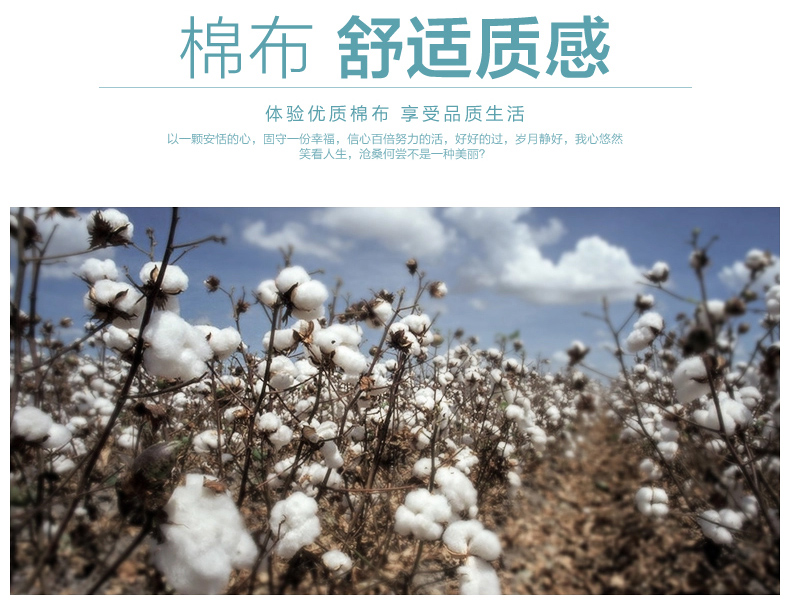
                                                            沙发垫套装刺绣飘窗垫欧式沙发垫子坐垫椅子罩沙发巾四季防滑垫简约 情思玉兰 70*180cm单条装                