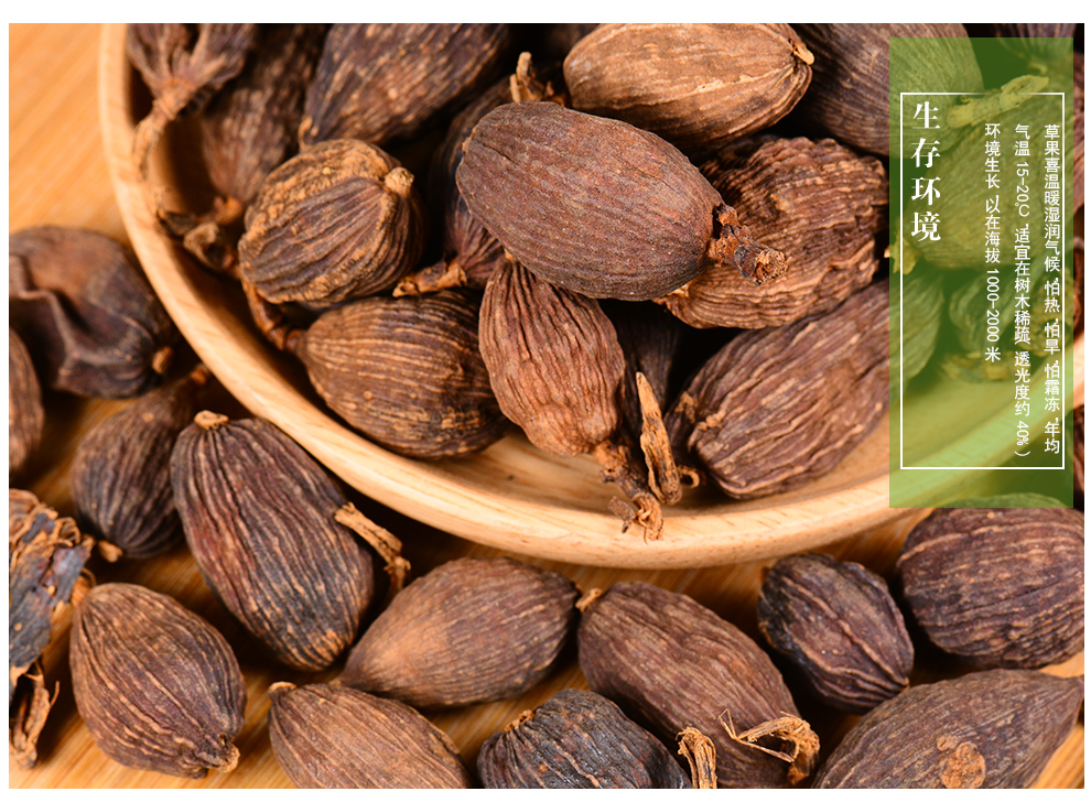 敬贤堂草果厨房调味料香料草果火锅增香卤菜调料草果100g