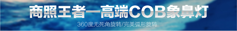 SAT照明cob射灯30W象鼻灯高档嵌入式360度旋转灯转角灯商场服装珠宝店展厅背景墙照明 象牙白30W 24度 4000K暖白光