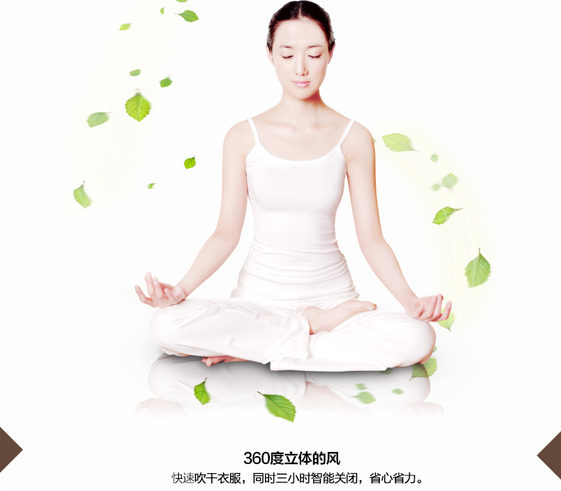 【包安装】邦禾 电动晾衣架 自动智能遥控晒衣架 升降阳台晾衣机 折叠挂衣架 照明 风干消毒 香槟金(1.2米主机) 四杆伸缩+LED照明