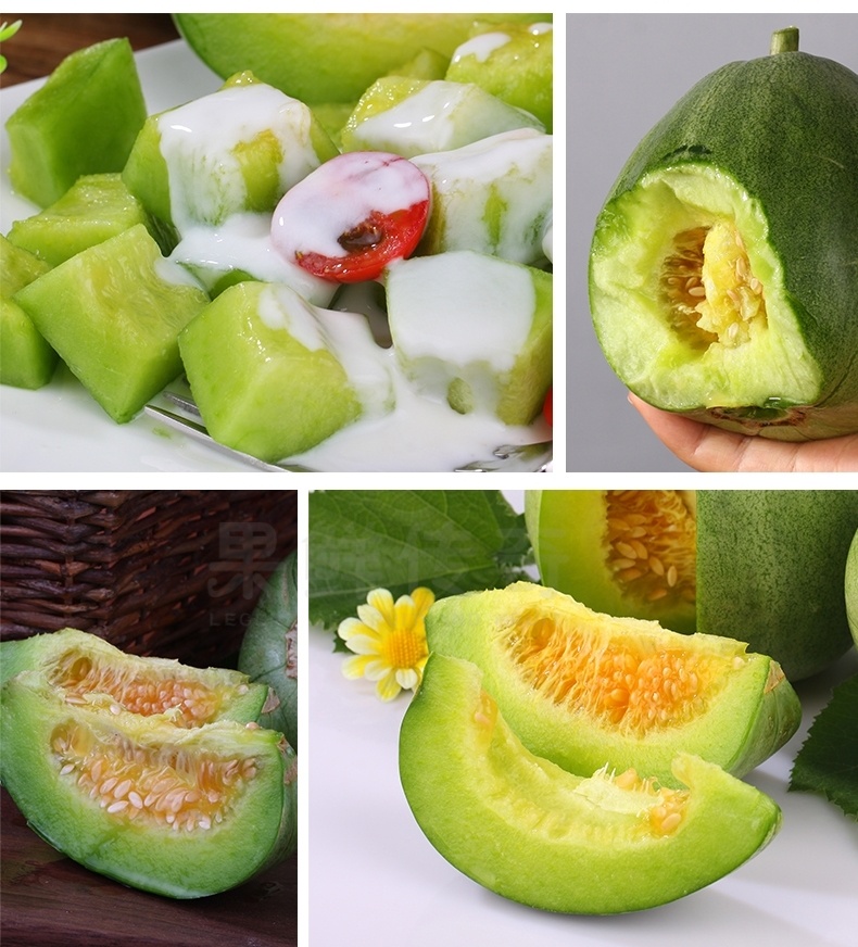 山东绿宝甜瓜整箱5斤 小香瓜脆瓜绿宝石甜瓜 新鲜水果 10斤