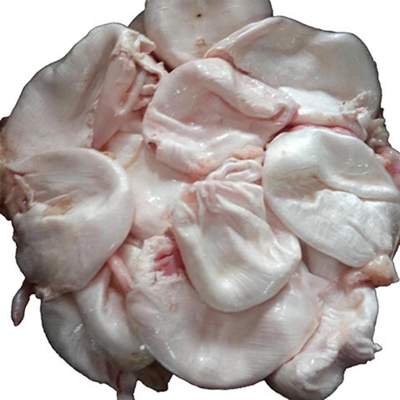 博多客 新鲜鱼泡 草鱼鲢子鱼宝鱼泡鱼漂鱼鳔鱼肚鱼胶花胶 500克