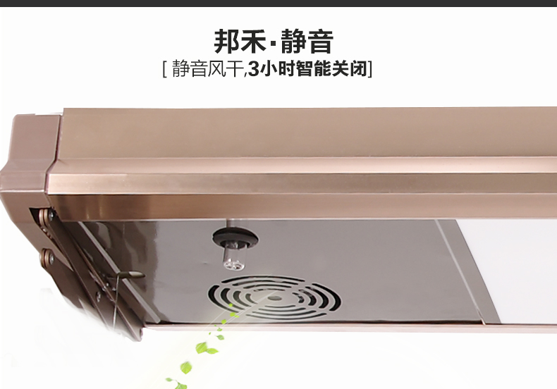 【包安装】邦禾 电动晾衣架 自动智能遥控晒衣架 升降阳台晾衣机 折叠挂衣架 照明 风干消毒 香槟金(1.2米主机) 四杆伸缩+LED照明