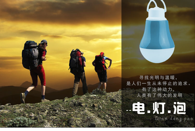 比月 led灯泡E27螺口4W暖光超亮球泡灯USB照明户外野营光源带线插头声控小夜灯 珍珠紫