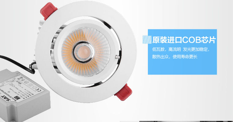 SAT照明cob射灯30W象鼻灯高档嵌入式360度旋转灯转角灯商场服装珠宝店展厅背景墙照明 象牙白30W 24度 4000K暖白光