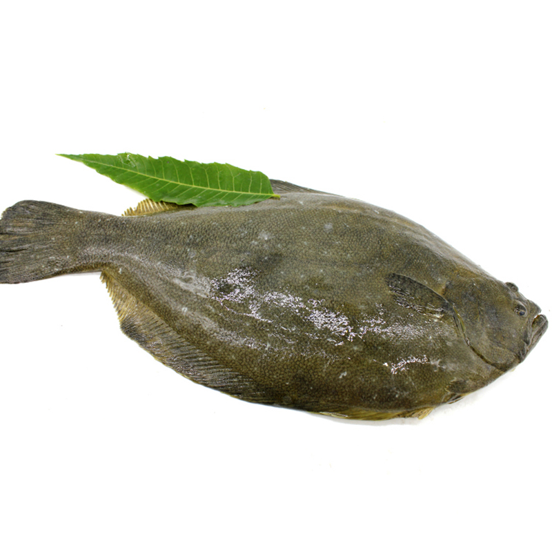新鲜鸦片鱼 鲜活速冻比目鱼海鱼鲆鱼 新杰大牙片鱼 2kg【图片 价格