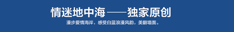 梓晨 实木照片墙 时尚创意相片墙 13框灵动相框组合HD-562 黑白原胡混搭