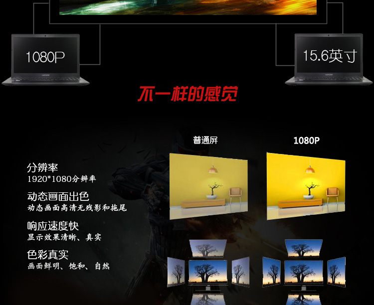 神舟（HASEE） 战神K650D-i7 D3 15.6英寸游戏笔记本电脑(i7-4710MQ 4G 500G GTX950M 2G独显 1080P)灰色
