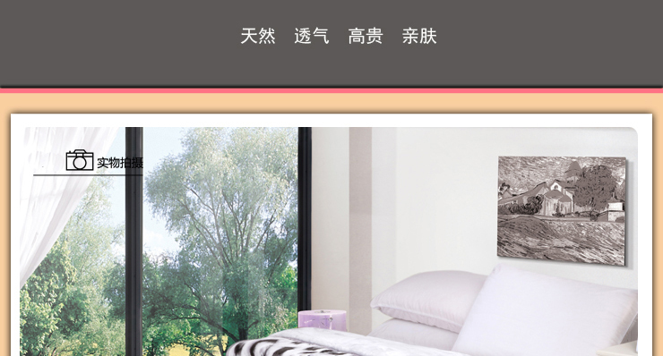 
                                        绿蕊家纺秋冬季加厚单人双人拉舍尔毛毯被子 756-酒红 其他                