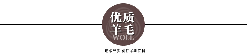 
                                        枫林梦2016秋冬新款女装OL韩版毛呢外套修身中长款大码羊毛毛呢大衣FB63 黑色 L                