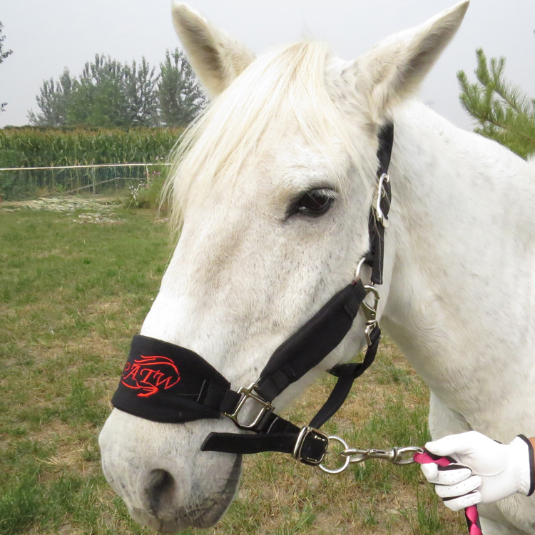 马笼头马具全线板笼套马术用品大小矮马龙头 【全店产品列表图】