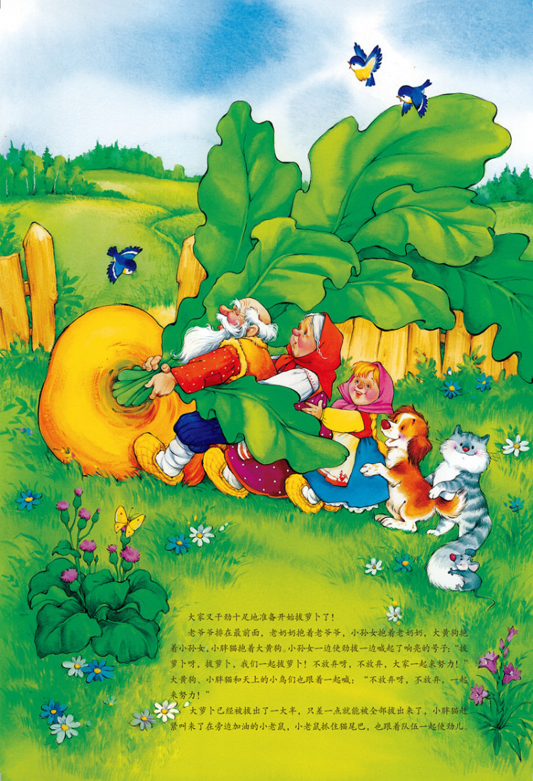 目 录   《拔萝卜》