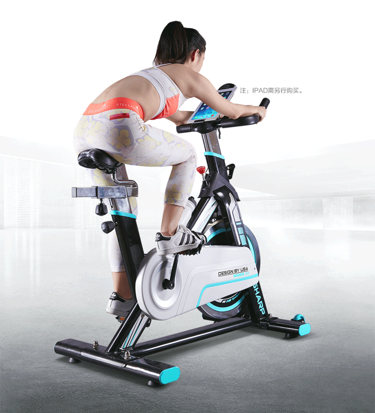 美国harison动感单车家用静音 汉臣室内健身车 减肥运动健身器材