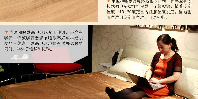 
                                        丰盈和暖碳晶电热坐垫 韩国远红外加热座垫 办公椅垫速热取暖垫 可调温节能加热垫45*45 棕色                
