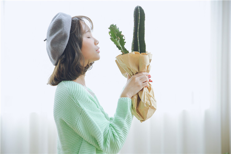 范力思 2015秋冬新款糖果色针织毛百搭开衫+印花半身短裙套装 糖果色树叶印花裙 均码