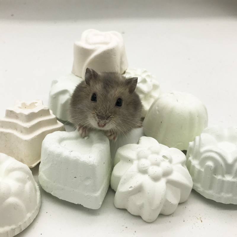 洁西小宠仓鼠磨牙石天然宠物加钙矿物磨牙石仓鼠兔兔龙猫天竺鼠用品