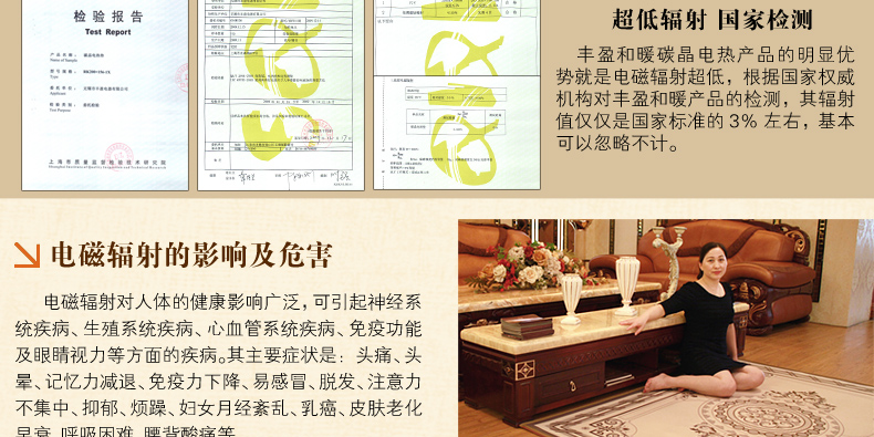 
                                        丰盈和暖碳晶电热坐垫 韩国远红外加热座垫 办公椅垫速热取暖垫 可调温节能加热垫45*45 棕色                
