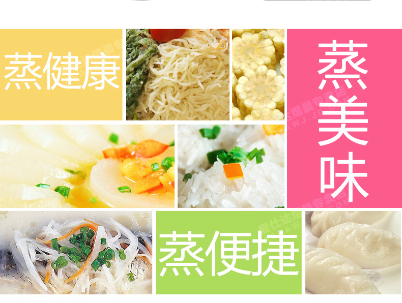 爱仕达 ASD 304不锈钢双层加厚底26厘米蒸锅电磁炉通用WG1526NL