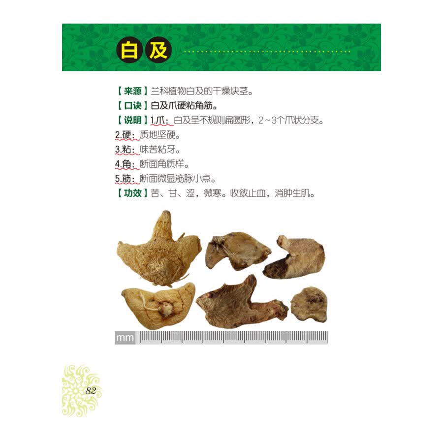 常用中药饮片400余种图书知识大全 中药饮片鉴别知识大全