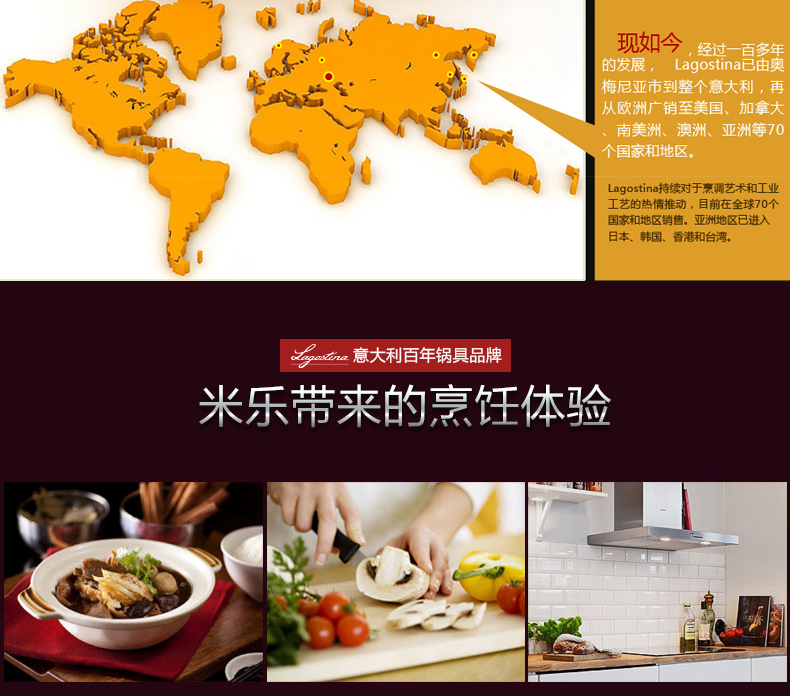 意大利拉歌蒂尼(Lagostina)多米纳纪念款7L高压锅不锈钢炒锅汤锅锅具套装