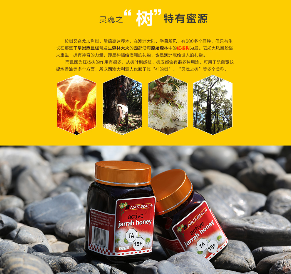 蜜娜多斯 红桉树蜂蜜 ta15 375g 澳大利亚 天然原装 进口蜂蜜 500g