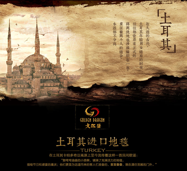 戈尔登地毯 土耳其进口 地毯客厅后现代简约 家用卧室时尚沙发茶几垫 土耳其进口0597A 240cmx330cm
