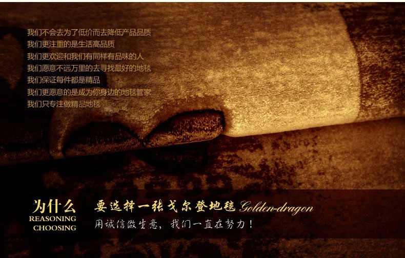 戈尔登地毯  欧式客厅地毯茶几沙发地毯卧室床边大地毯地垫 6295驼 160cmx230cm