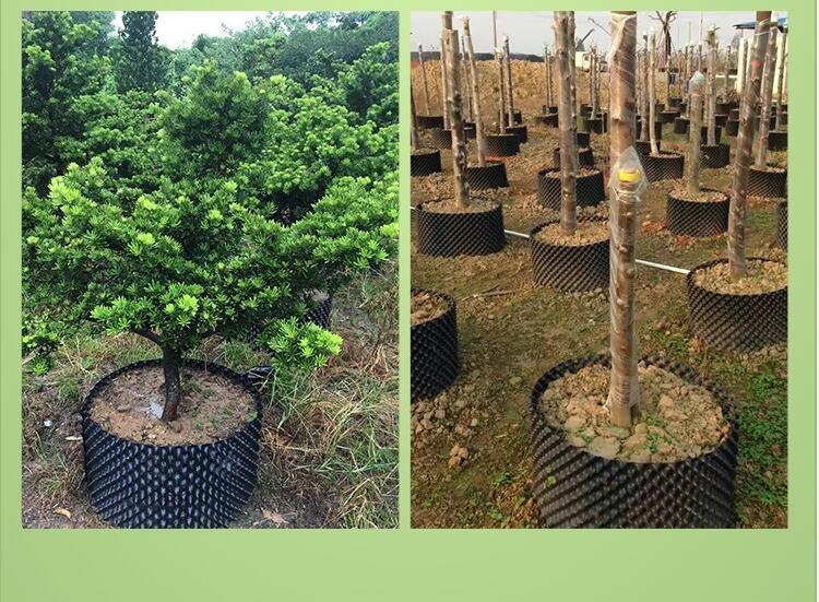 控根器花盆植树袋围树板育苗容器控根容器生根器美植控根器 0.