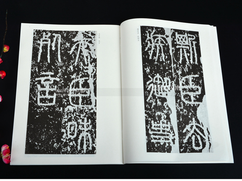 《智品圖書 秦泰山刻石 歷代碑帖法書 毛筆軟筆篆書練字帖文物出版社