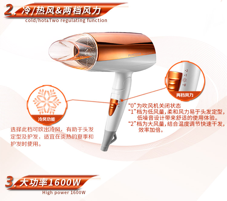 飞科(FLYCO)FH6660可折叠电吹风机 1600W负离子