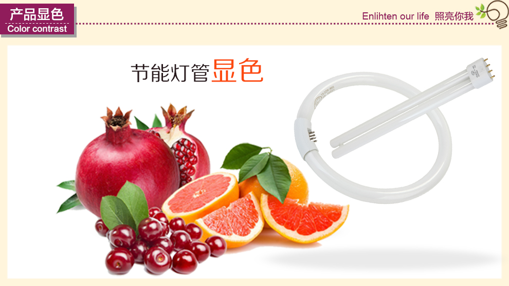 沪字牌三基色灯管T5环形节能灯管白光 T5环形管40W白光
