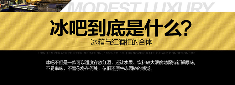 
                                        SKG 3607 95升 冷柜/冰吧 冷藏柜展示柜 立式冰柜 家用商用冰箱                