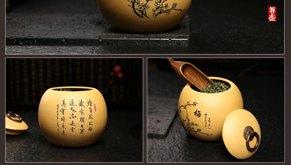 
                                                            尊壶 紫砂茶叶罐密封便携醒茶罐普洱红茶包装居家摆放大小号非陶瓷装茶罐子茶具套装配件龙旦茶叶罐 龙旦大号段泥 梅                