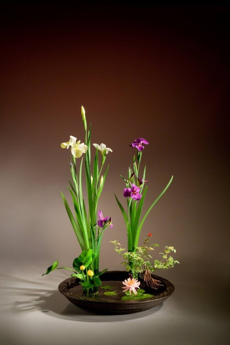 文静花坊剑山插花插花器剑山插花工具剑山花插剑山不锈钢针配橡胶套46