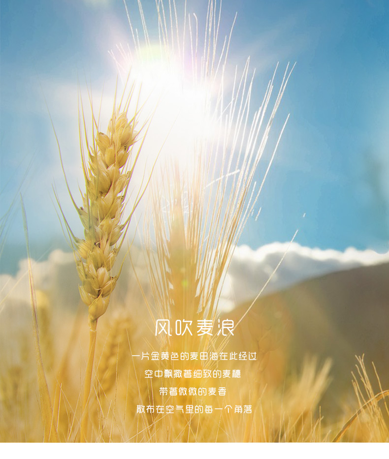 风吹麦浪(单幅b款 60*80 拉丝金框