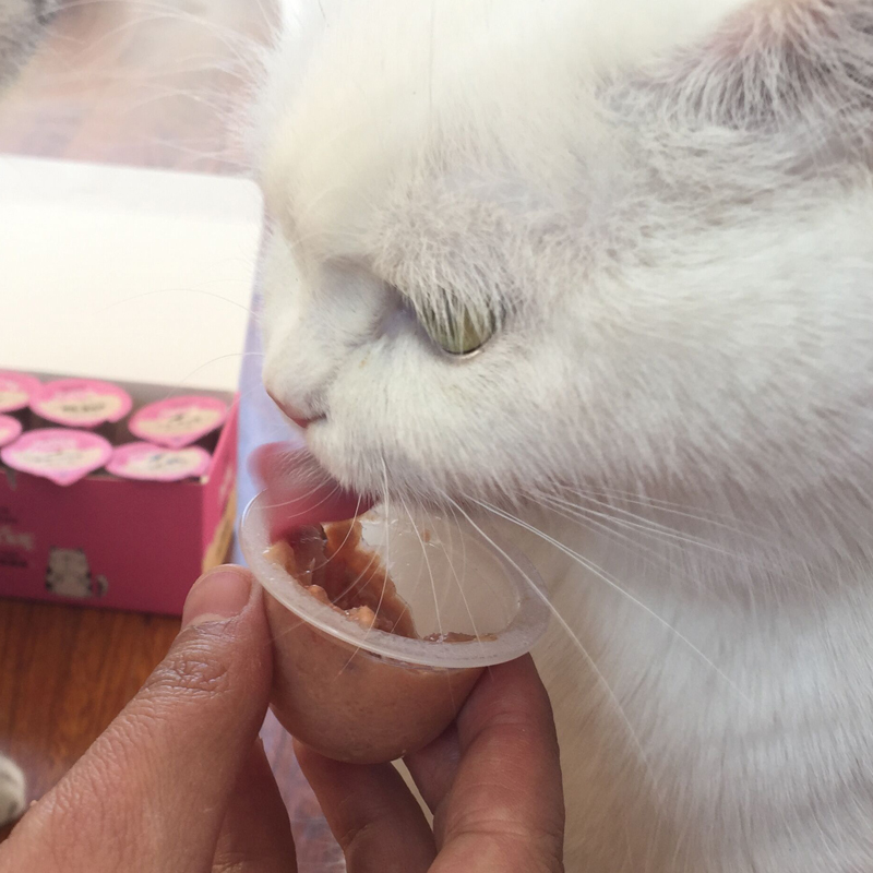 凯麦特猫布丁 宠物奖励猫零食果冻 肉布丁猫湿粮 鲣鱼 鲍鱼味25g单粒